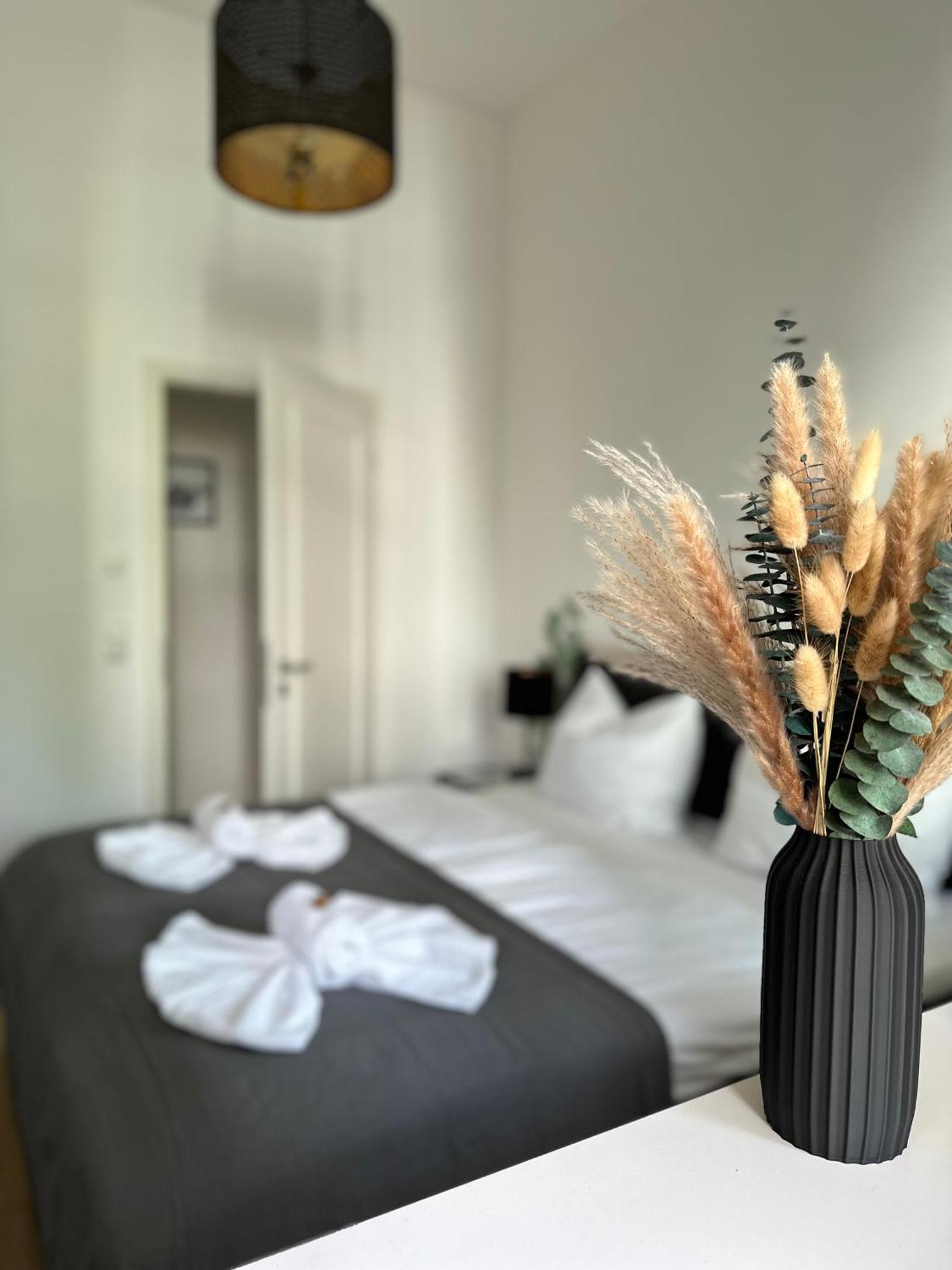 Oasis Appart - Wohnen Im Koenigspark - Elbhang Dresden - Grosse Terrasse - Netflix - Tg Dış mekan fotoğraf