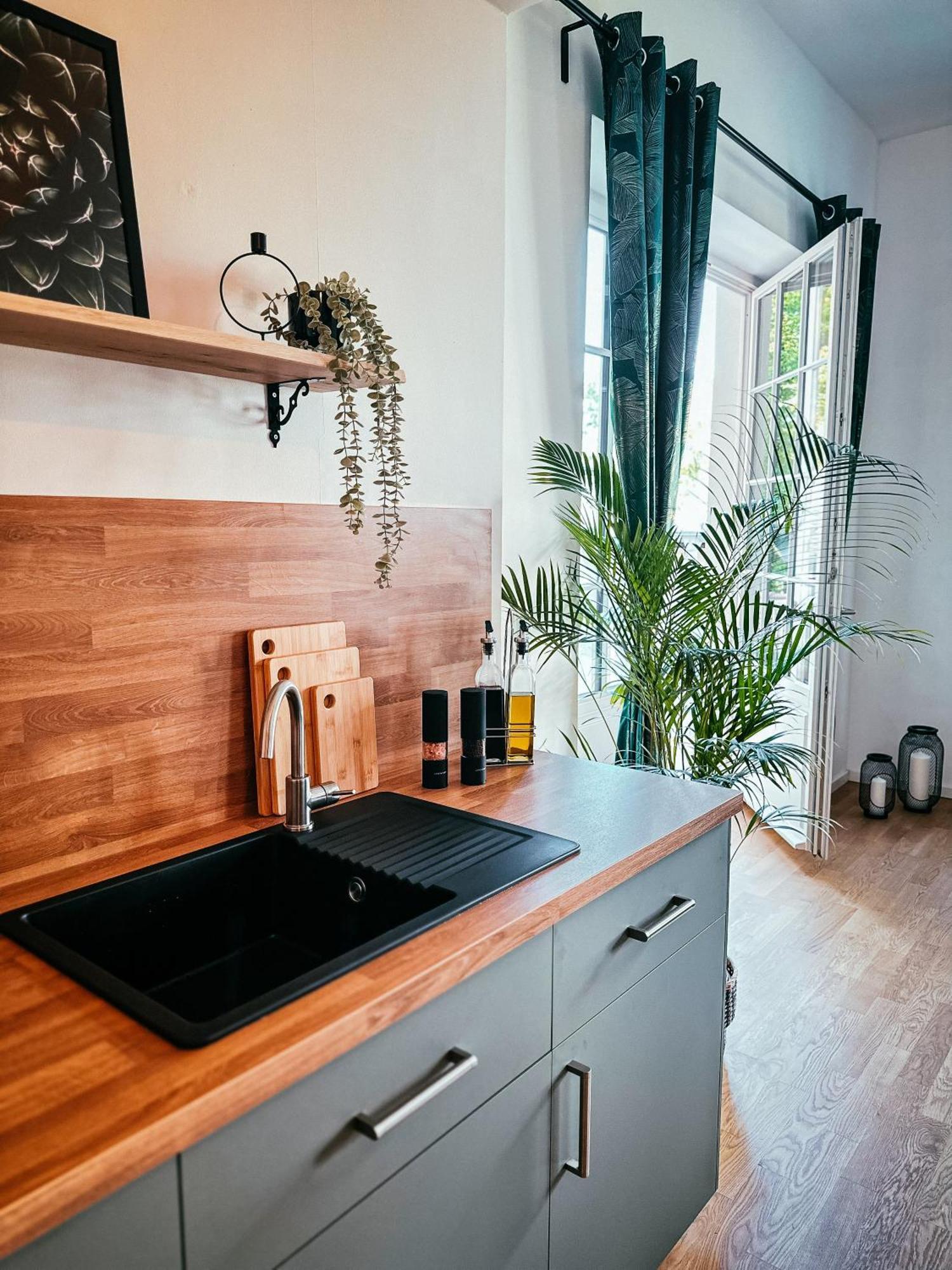 Oasis Appart - Wohnen Im Koenigspark - Elbhang Dresden - Grosse Terrasse - Netflix - Tg Dış mekan fotoğraf